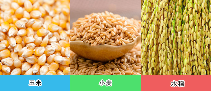 软（ruǎn）管式吸（xī）粮机行业